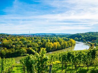 Kultur und Natur im Schwarzwald - Entdeckungstour durch die Burg Hohenzollern inkl. HP | 4 Tage 