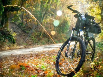 Radurlaub im Schwarzwald - Aktivurlaub zwischen Wald und Panorama | 3 Tage  