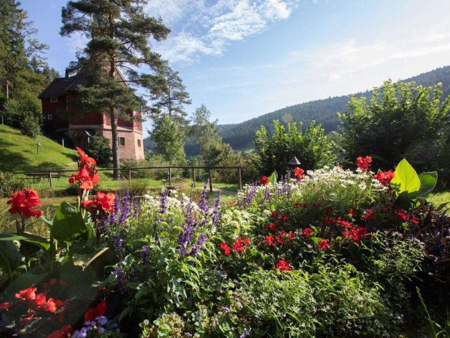 Blühende Auszeit im Schwarzwald - die Gartenschau Freudenstadt | 4 Tage