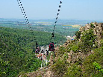 3 Tage Alpakaurlaub im Harz inklusive Halbpension