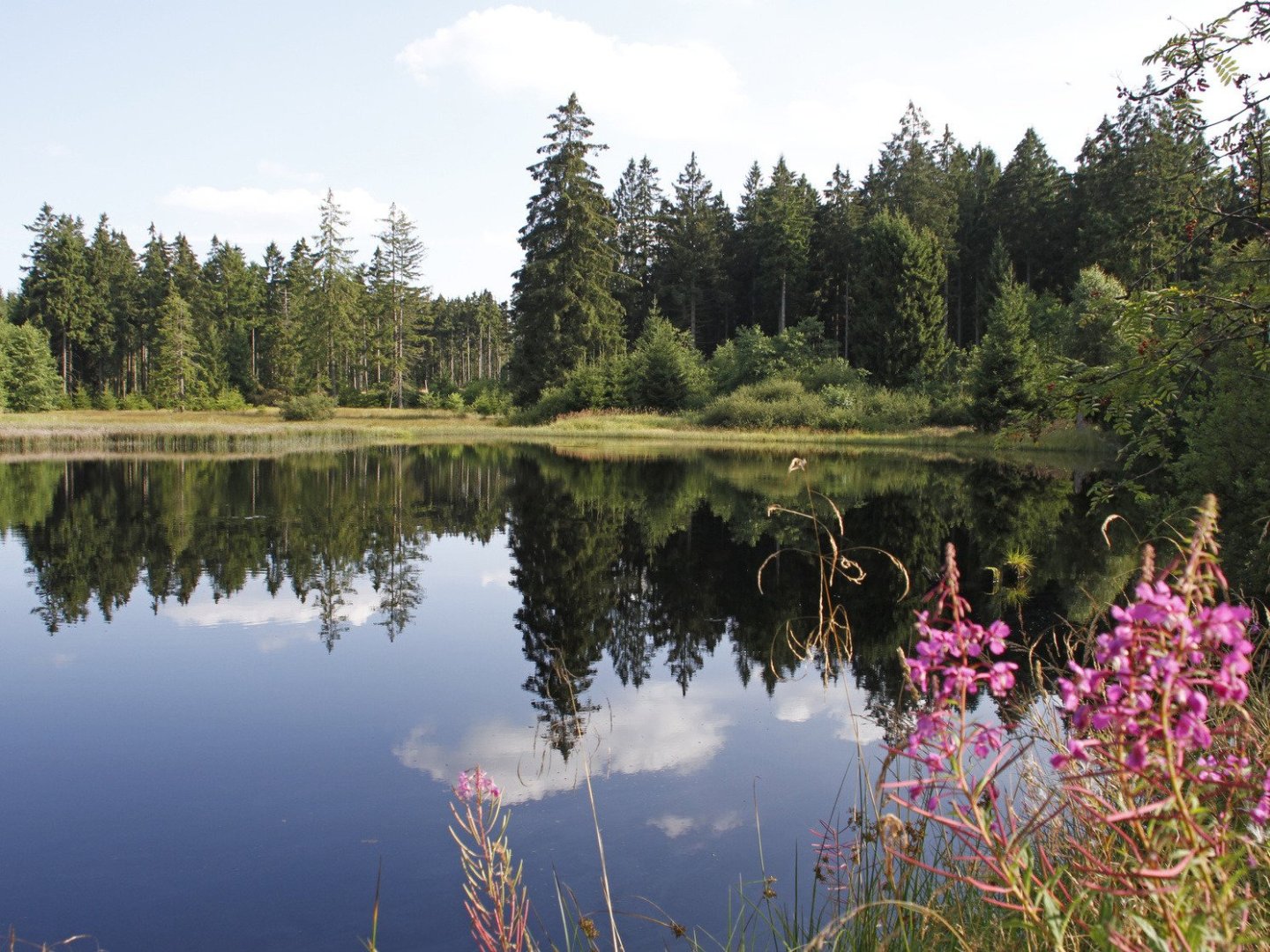 Muttertag im Harz - Wellnesswochenende 