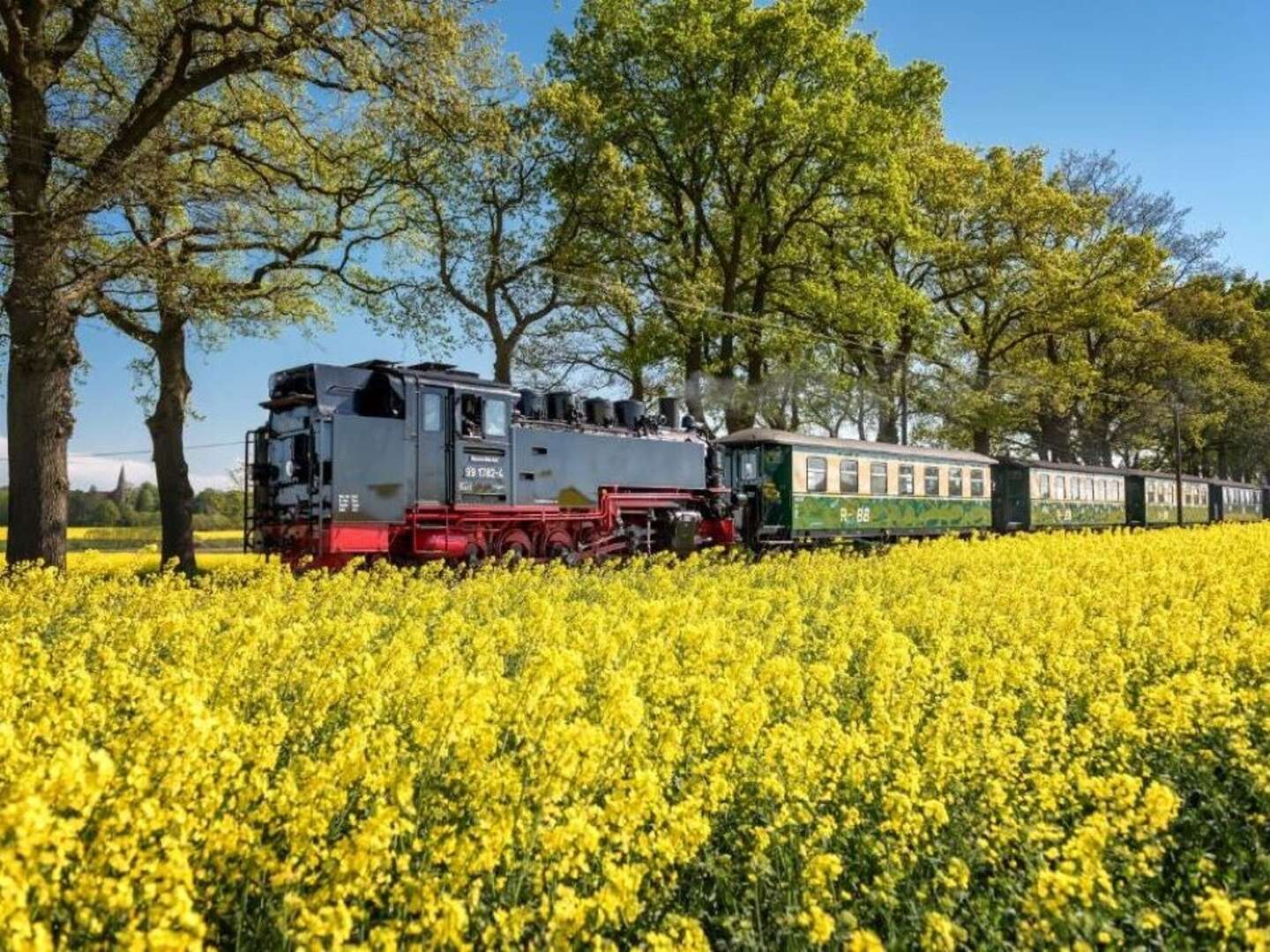 Erholungsurlaub auf Rügen genießen inkl. Halbpension