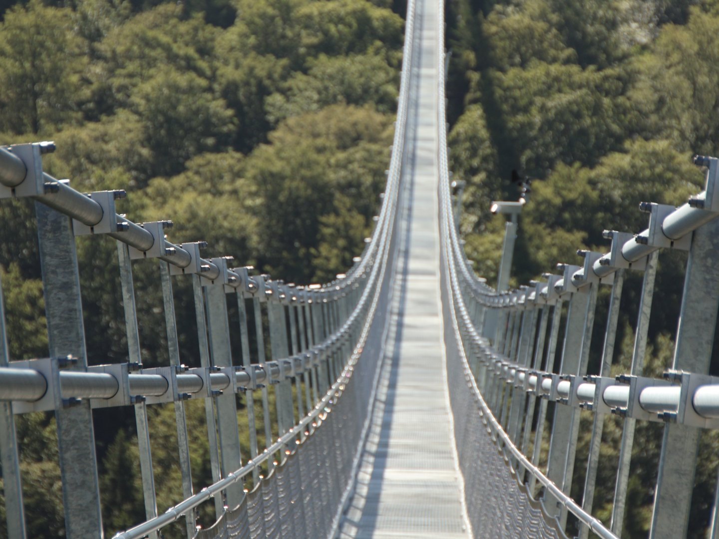 Erlebnistage mit dem Skywalk Willingen im Sauerland