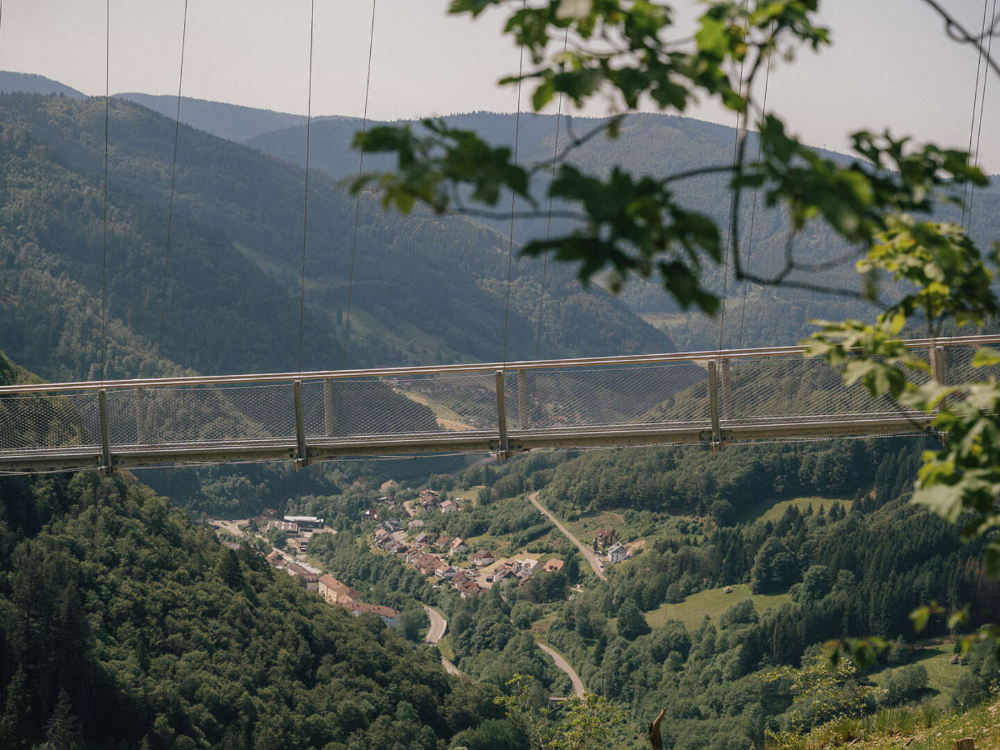 Wiedener Eck's Probiererle I Schwarzwald inklusive Genießer-Menü