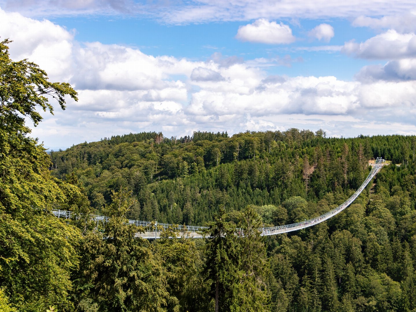 5 Eimbergtage im Sauerland inkl. Halbpension 