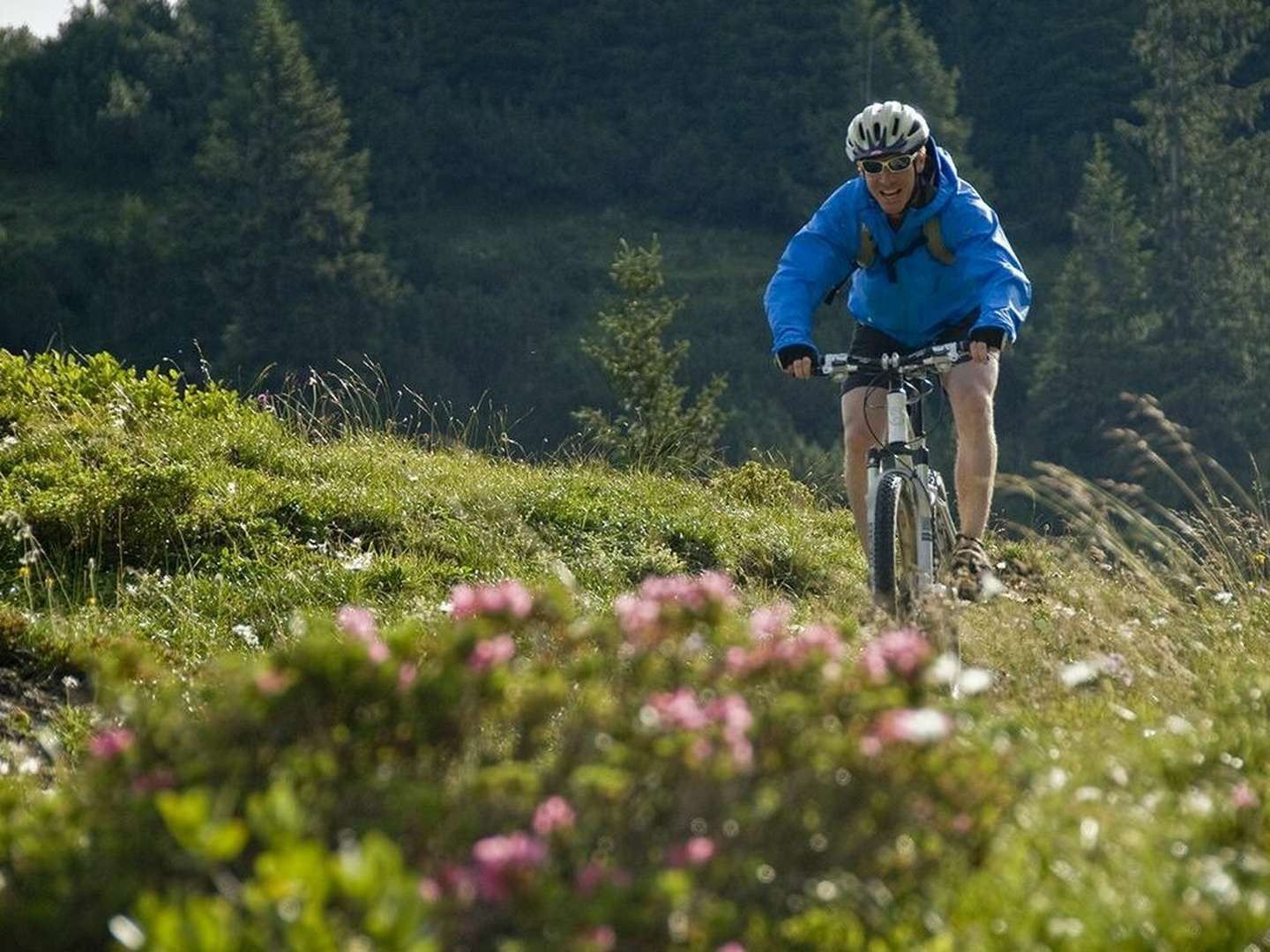 Radfahren in Willingen - Bikeurlaub im Sauerland | 4 Tage inkl. Tagesticket Seilbahn 