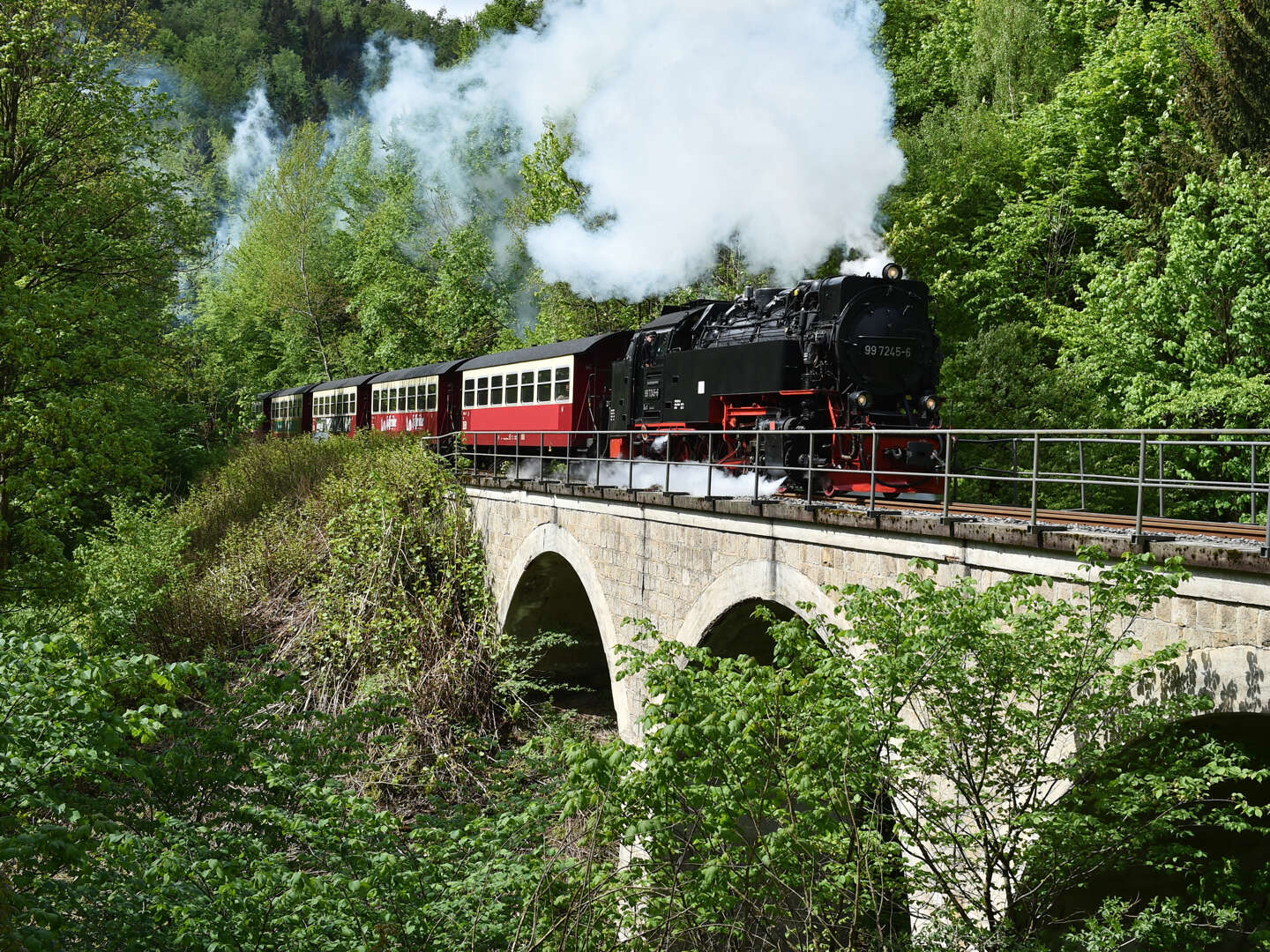 Quedlinburg in 24 Stunden