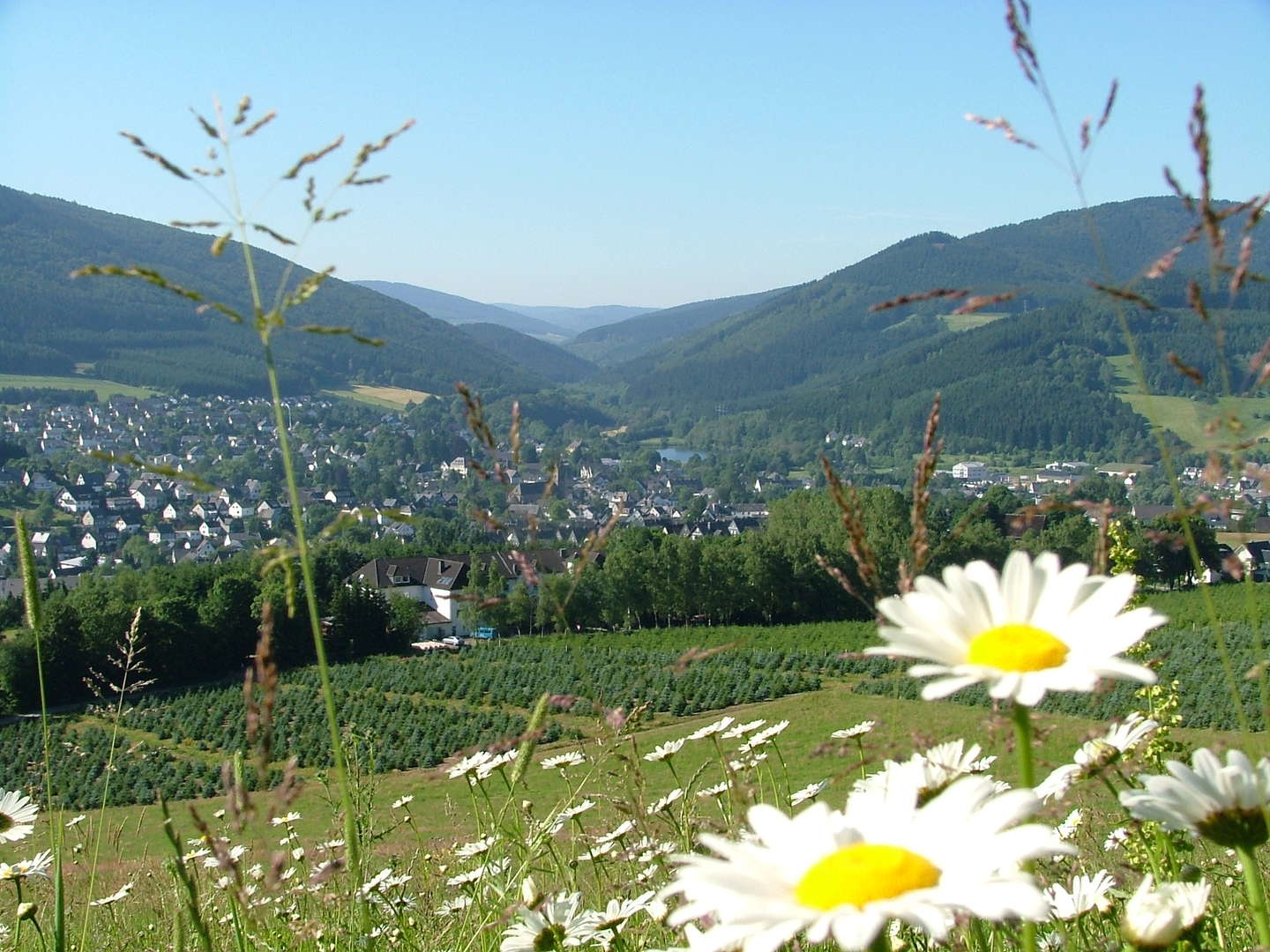 Ana ASLAN Frau für Frau - Verwöhnwochenende im Sauerland für Mädels mit Sekt und Selters