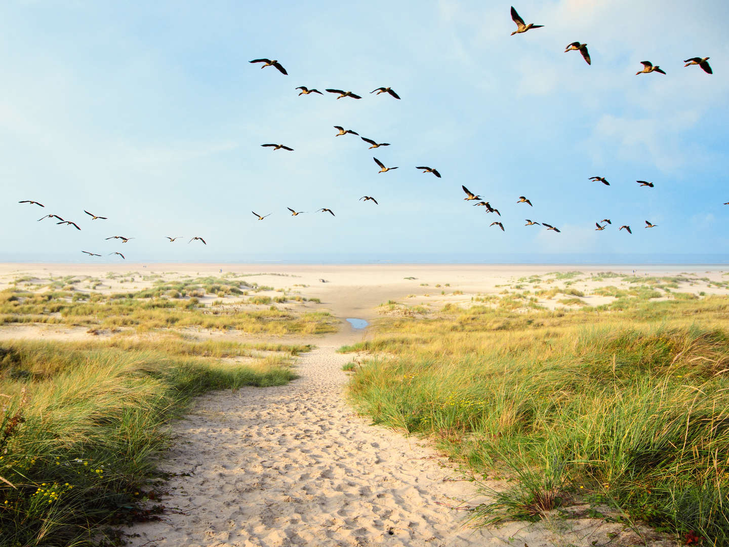 5 Erholungstage im Ferienappartement an der Nordsee 