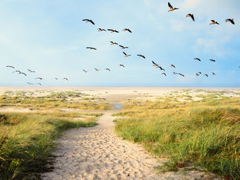 7 Wellnesstage im Ferienappartement an der Nordsee inkl. Eintritt Therme   