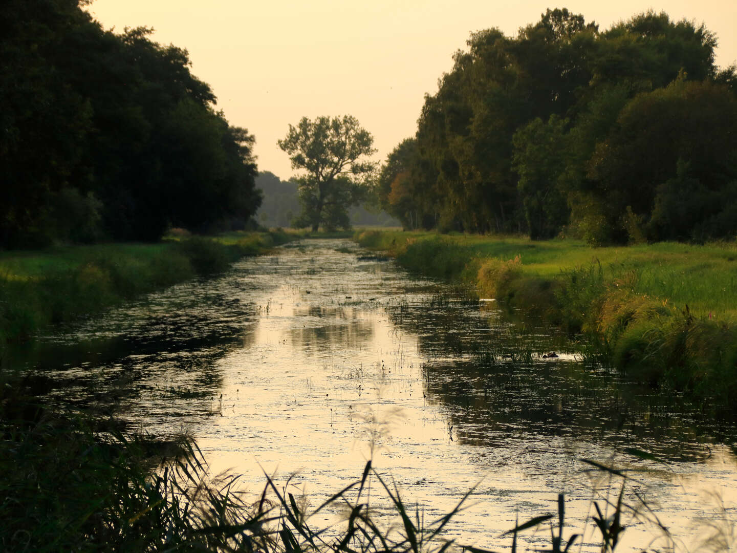 Aktive Zeit in Güstrow mit Besuch der Oase-Badewelt