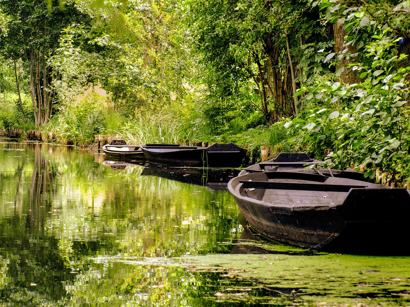 Spreewald aktiv genießen - ab in die Natur