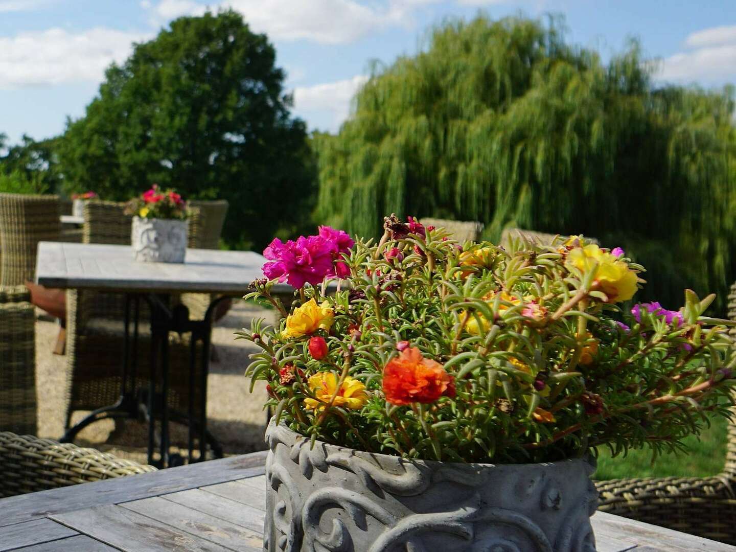 Kurzer Aufenthalt im Schloss in Westmecklenburg