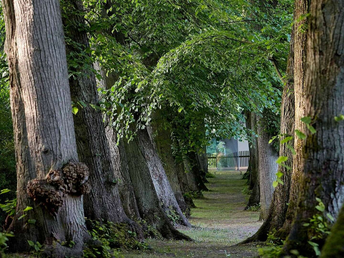 Kurzer Aufenthalt im Schloss in Westmecklenburg