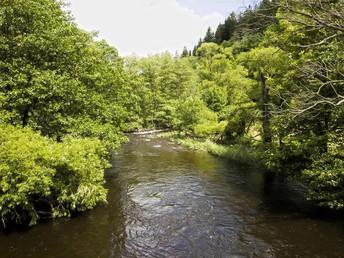 5 Tage Kurzurlaub in der Eifel inkl. luxuriöses Abendessen & Massage