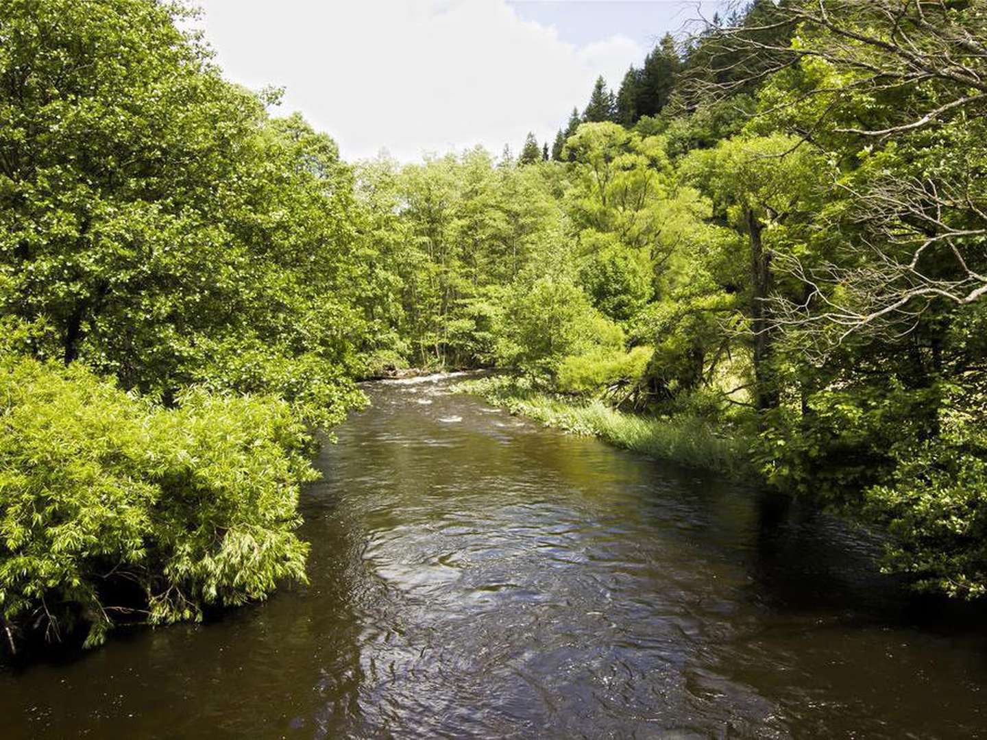 5 Tage Kurzurlaub in der Eifel inkl. Halbpension 