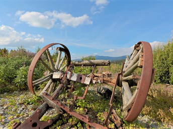 Bergfrühling