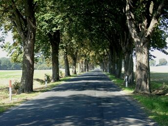 Mit dem Fahrrad durchs Mecklenburger Land