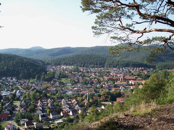 5 Tage Arrangement Kurzurlaub in der Pfalz