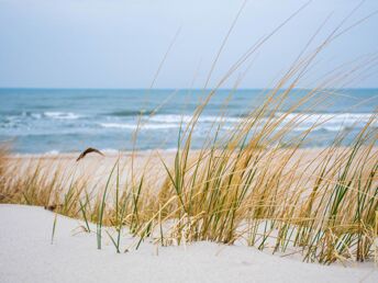 Ostsee-Auszeit inkl. tägl. Abendmenü 