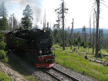 7 auf einen Streich - Stempeltour mit Harzer Wandernadel inkl. Halbpension