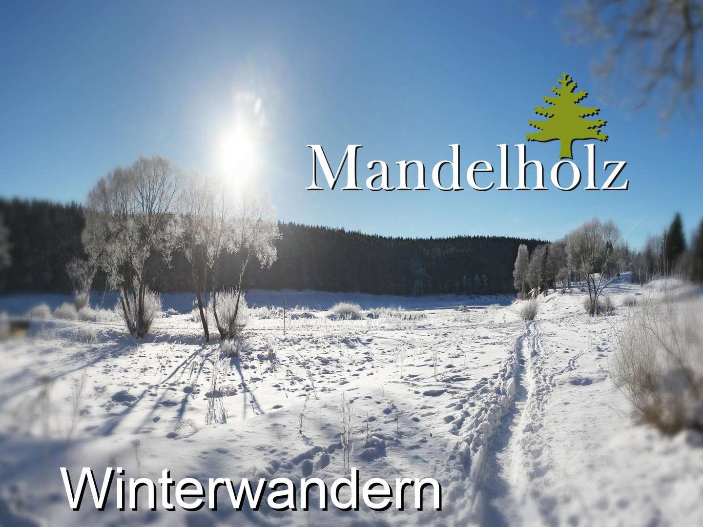 Winterwandern im Harz inkl. Halbpension