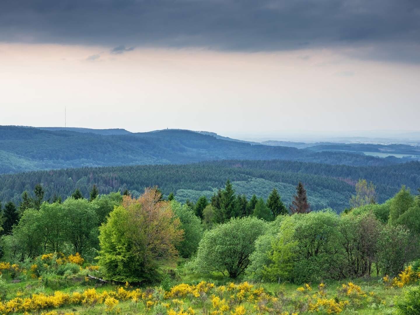 2 Tage Wandern und Genießen im Weserbergland inkl. 3-Gänge-Menü