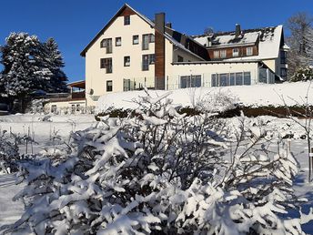 In des Waldes Ruh im Erzgebirge 