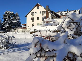 In des Waldes Ruh im Erzgebirge 