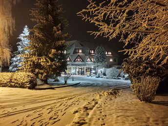 In des Waldes Ruh im Erzgebirge 