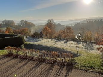 In des Waldes Ruh im Erzgebirge 