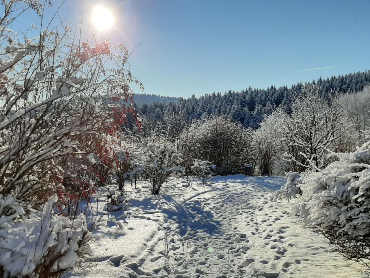 In des Waldes Ruh im Erzgebirge 6 Tage