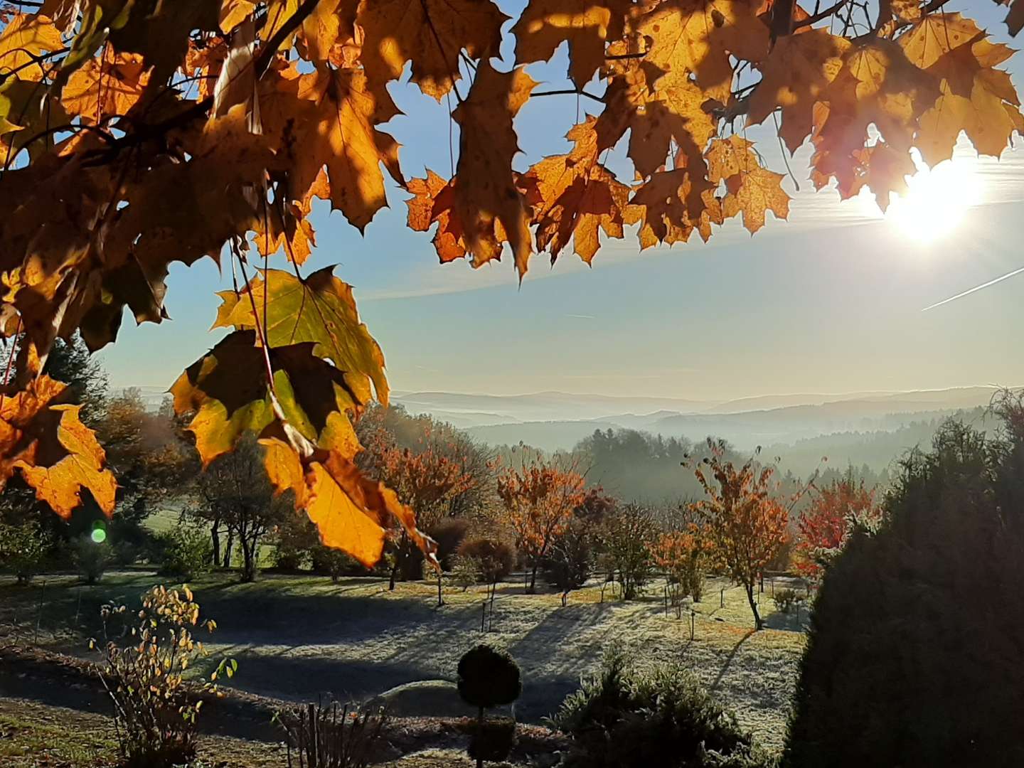 In des Waldes Ruh im Erzgebirge 6 Tage