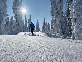 Hoamatgfui - im bayerischen Wald mit Massage - 4 Tage