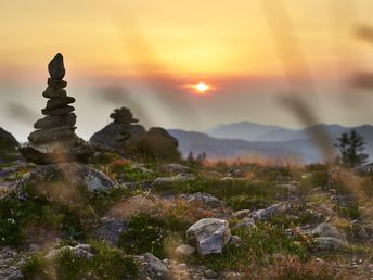 Easy E Bike Week - 8 Tage bayerischer Wald mit dem E-Bike inkl. Massage 2025