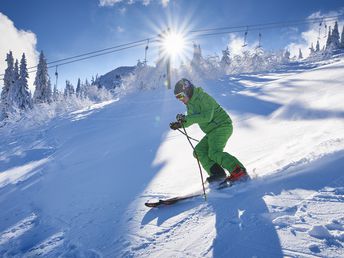 Traumwoche für Zwei - 7 Tage inkl. Kutschfahrt durch den bayerischen Wald 2025