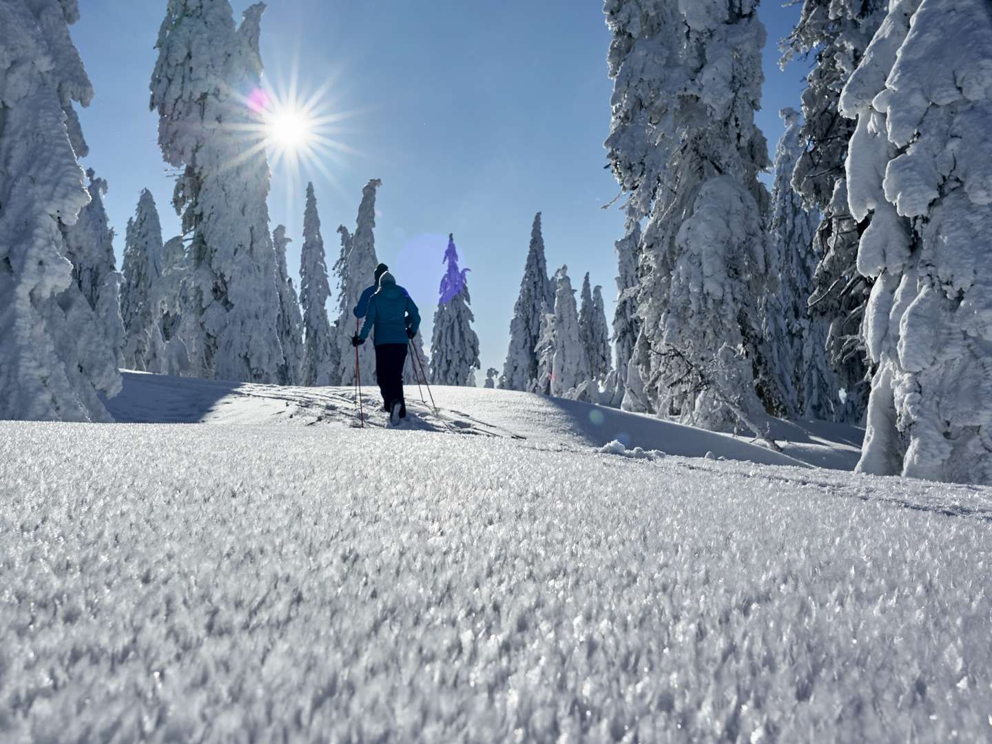 Rösslwirts Wohlfühltage im Bayerischen Wald