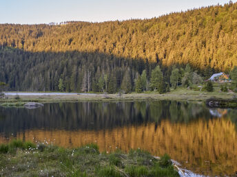 Rösslwirts Wohlfühltage im Bayerischen Wald 2026