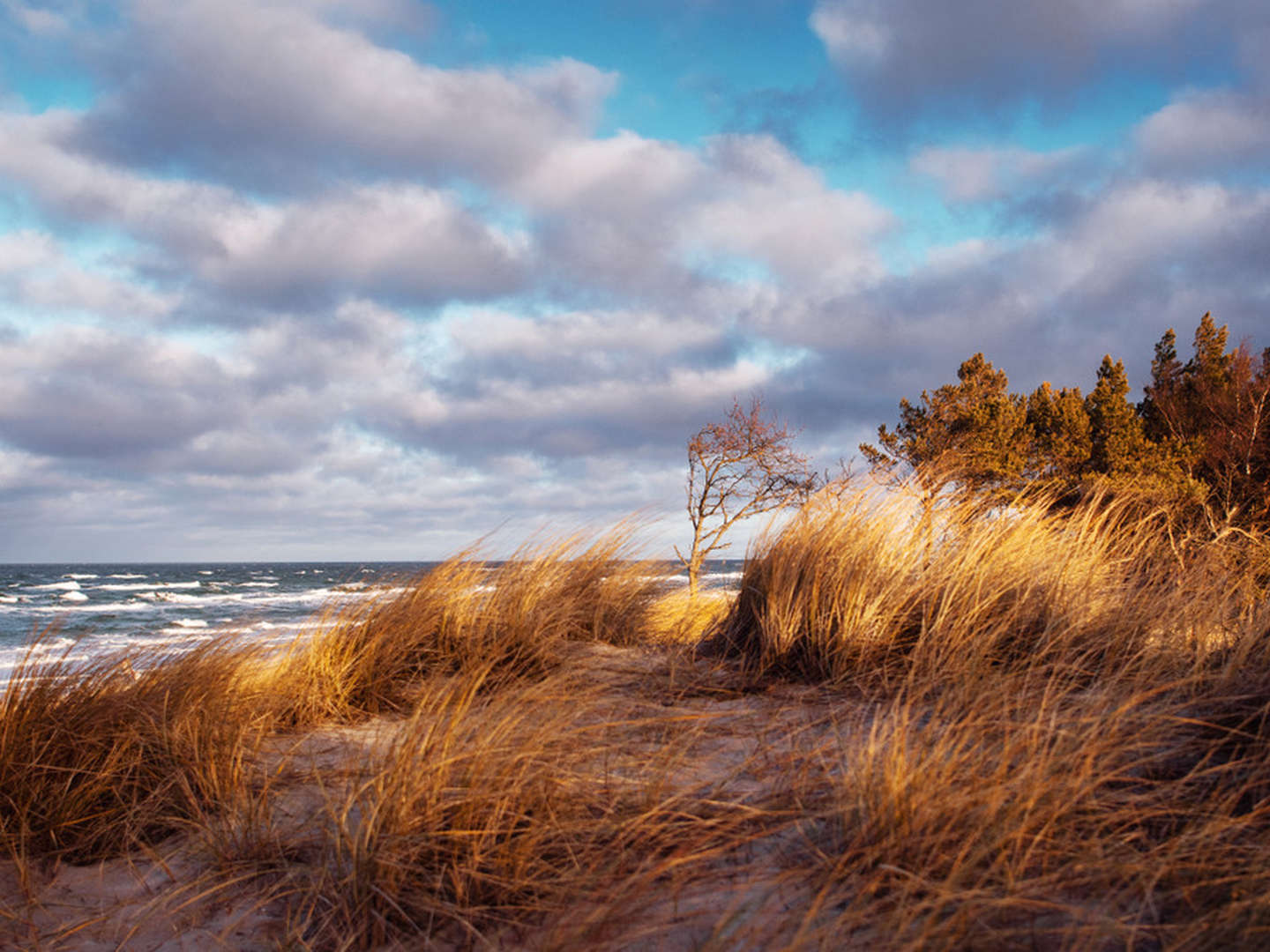 Kurze Auszeit an der Ostsee