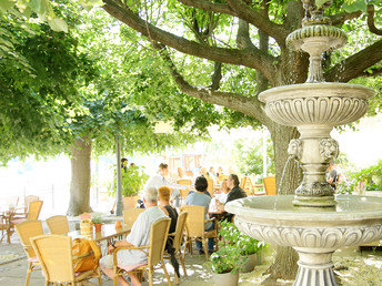 Romantik an der Elbe - 3 Tage im Hotel Elbterrasse Wachwitz - HS