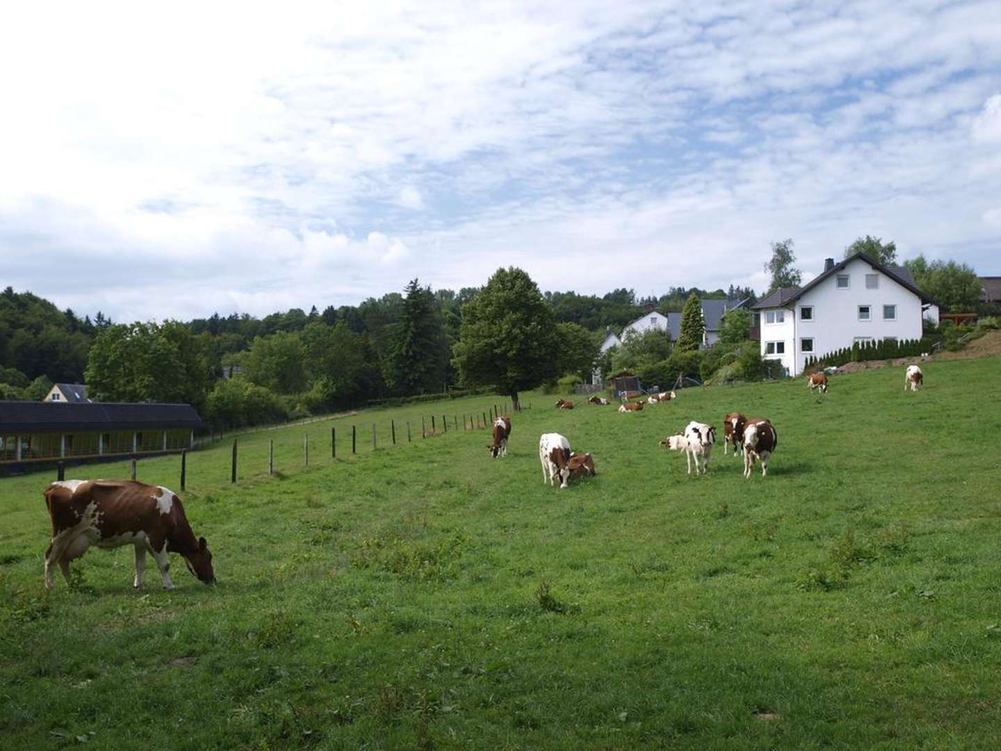 Deine Auszeit im Grünen | Willingen und das Sauerland entdecken