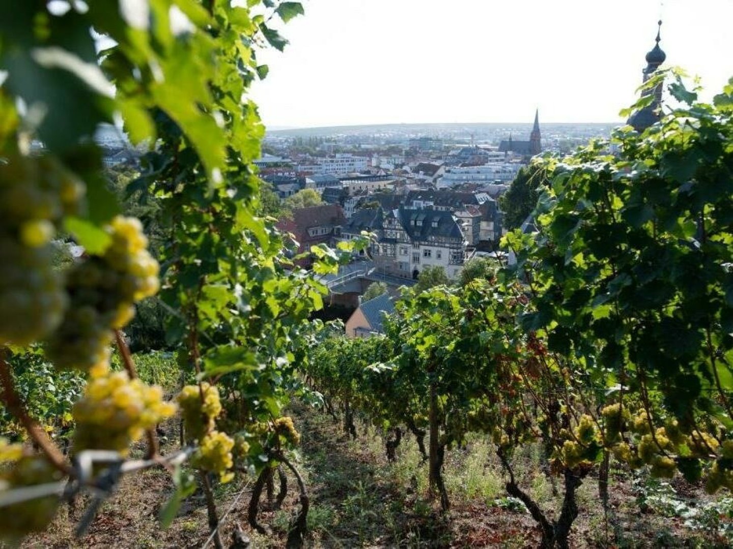 Auszeit vom Alltag in Bad Kreuznach