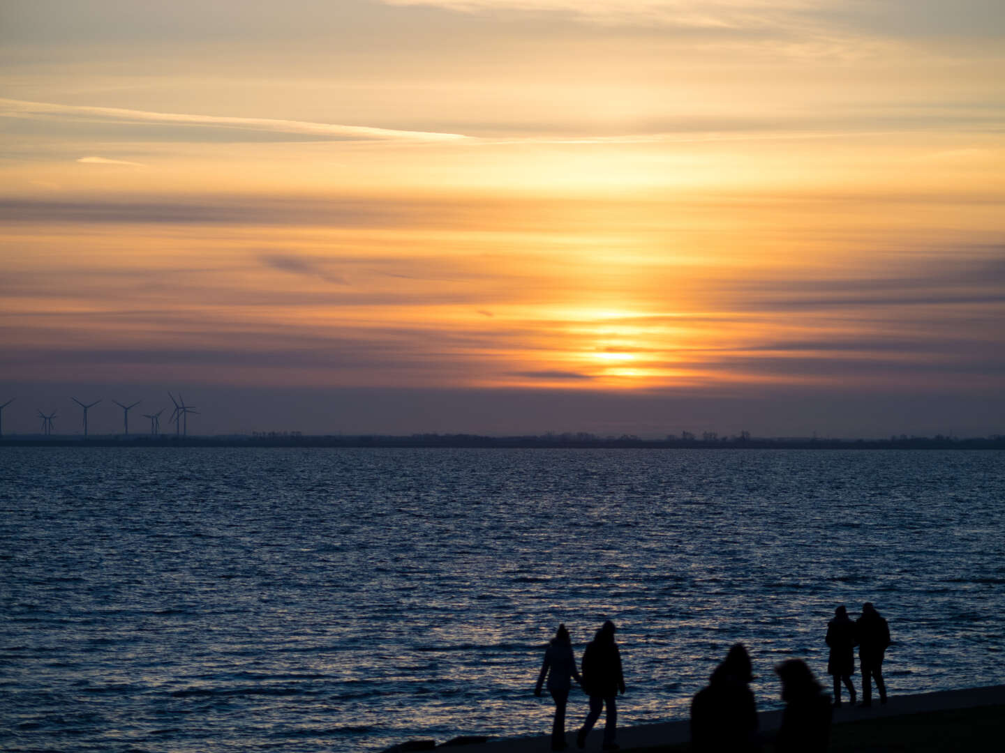 6 Tage Jadebusen und Nationalpark Niedersächsisches Wattenmeer erleben! 