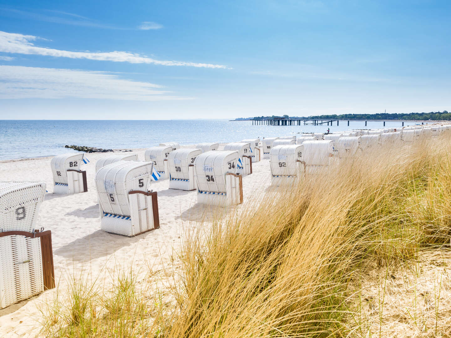 Radfahren an der Nordsee inkl. Abendessen