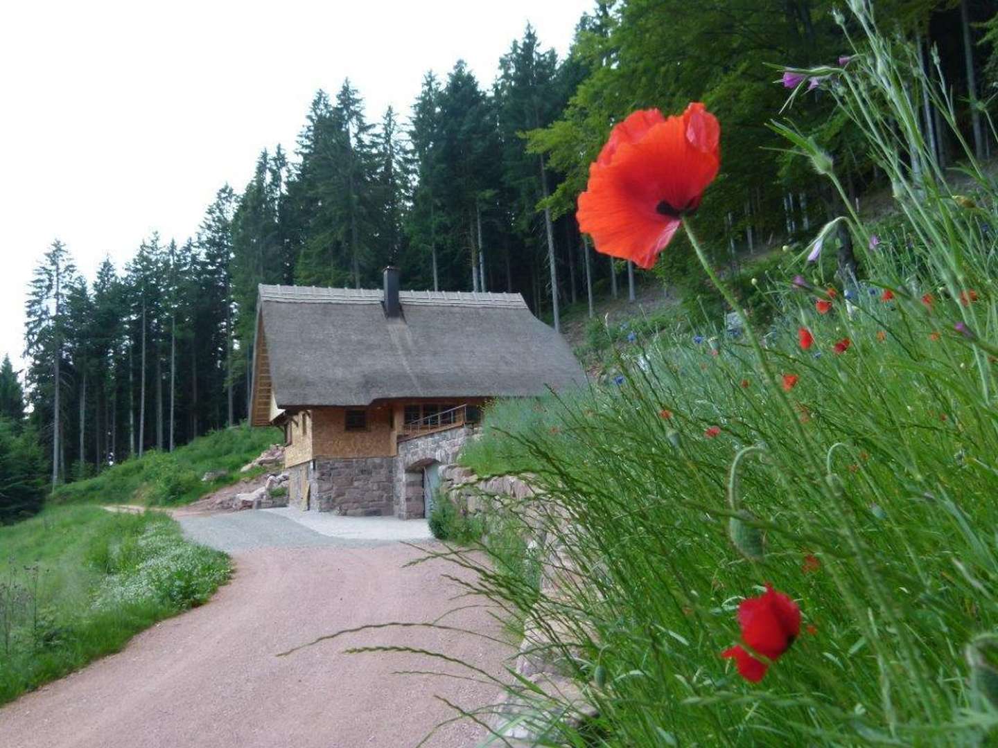 Wellness-Wohlfühl-Wochenende im Schwarzwald 