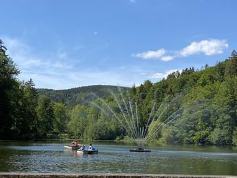 Mit dem Bike durch den Harz inkl. Halbpension