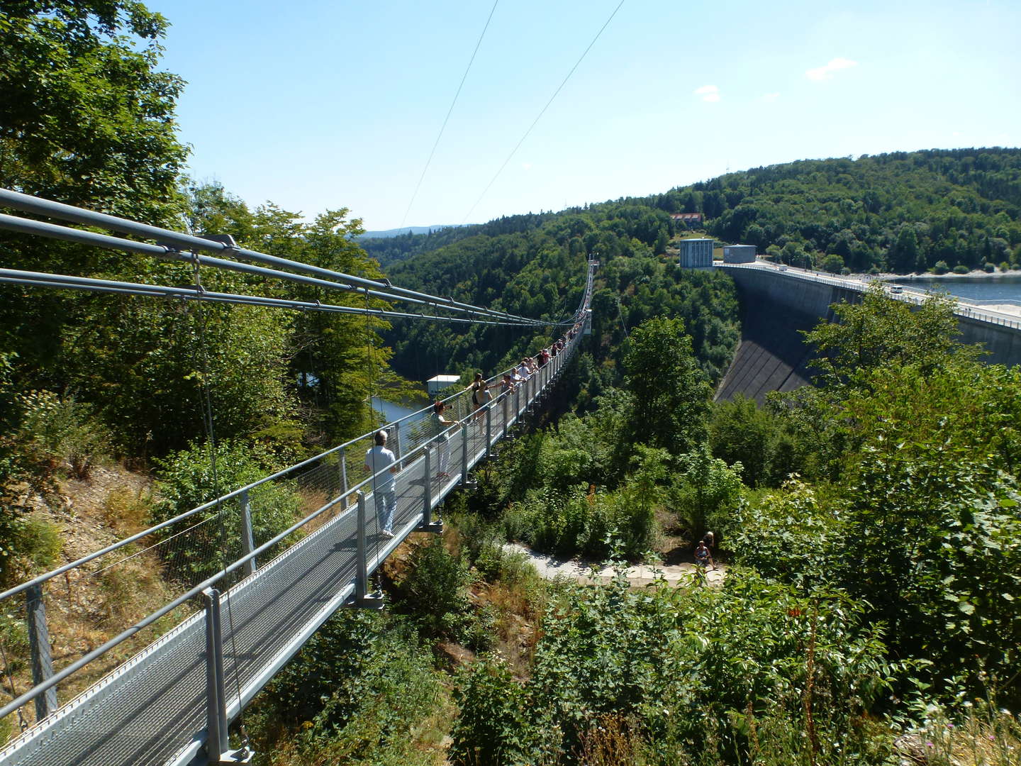 Mit dem Bike durch den Harz inkl. Halbpension