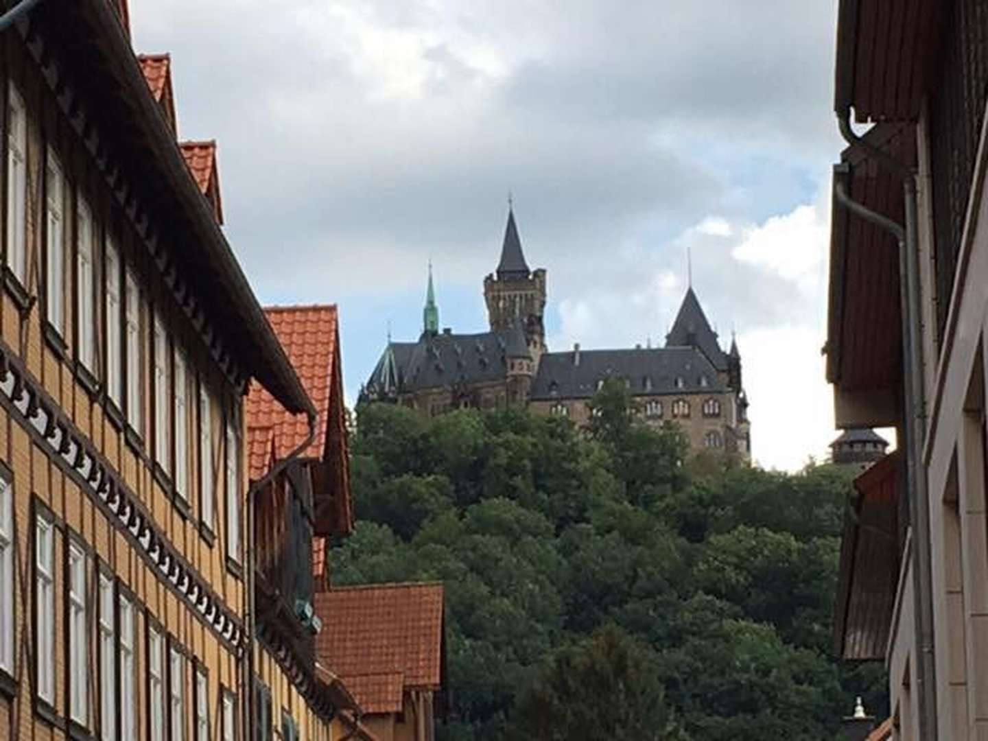 Mit dem Bike durch den Harz inkl. Halbpension