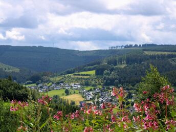 Ein Wanderwochenende im Sauerland inkl. SauerlandCard 