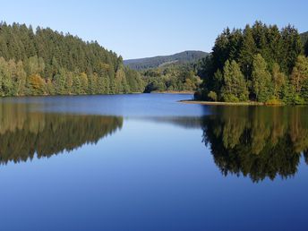 Gesunde HARZ- Luft schnuppern für 4 Tage